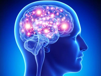 Terapia eco-compatibile: dal carapace dei crostacei ricavate protesi per lesioni nervose.