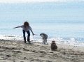 Turismo. Corso manager dog per luoghi ricreativi a misura di cane