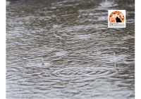 Roma/nubifragio. Geologi: opere per smaltire acqua progettate con criteri non più idonei alla crisi climatica attuale