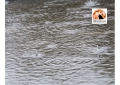 Roma/nubifragio. Geologi: opere per smaltire acqua progettate con criteri non più idonei alla crisi climatica attuale