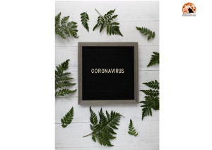 Abruzzo/Coronavirus, 97 casi e 434 guariti