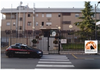 Montesilvano, tenta il suicidio con il coltello dopo lite con il figlio: salvata dai Carabinieri.