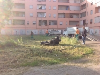 Montesilvano/via Rimini. Controlli e sfalcio, pulizia del verde
