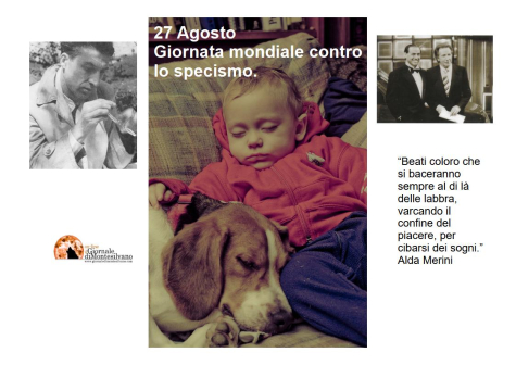 27 Agosto: giornata contro lo specismo, Silvio Santa Monica, madre di Sant'Agostino.