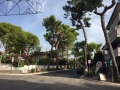 Giulianova, 400mila euro per Via Orsini, riapre al traffico oggi