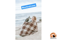 Montesilvano/cani in spiaggia libera. Sindaco firma regolamento estivo.