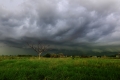 thunderstorm asthma in Australia