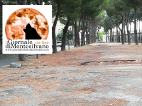 La via dietro l'ex Fea, tra Viale europa e Corso Umberto