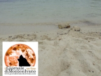 Favignana