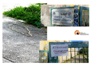 processionaria fotografata questa mattina in Via Salentina