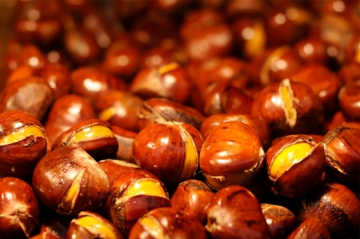 Festa d'autunno ad Opi