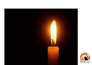 Addio a Giorgio Ranieri. Cipas: "schietto, trasteverino D.O.C. Ci mancherai."