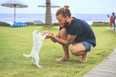 Baubeach. Spa per i cani, al mare con il cane