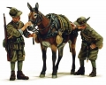 Alpini - truppe alpine