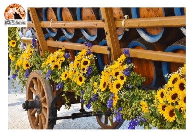 In Abruzzo, ad Avezzano, un labirinto di oltre 600 fiori
