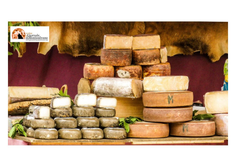 Abruzzo. € 850.000,00 per il “Sostegno del settore zootecnico e della filiera lattiero-casearia”