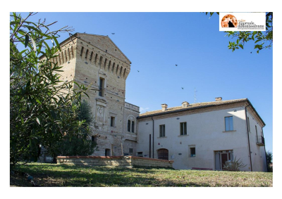 Martinsicuro: primo passo verso il futuro Parco Archeologico di Castrum Truentinum