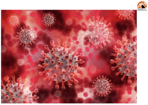 Abruzzo/Coronavirus. 395 nuovi casi positivi e 7 decessi