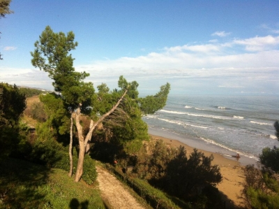 Cerrano
