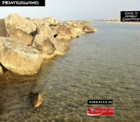 Montesilvano. Mare “perfettamente balneabile". L'Arta ha detto “sì”.