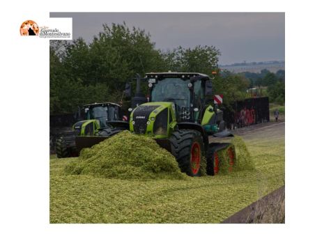 Agricoltori, 60milioni di euro per nuovi aiuti