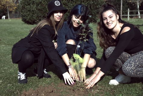 Montesilvano, studenti piantumano 20 querce.