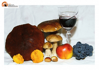 Congiunti, torna la tradizionale Fiera d’autunno “ i Sapori di San Martino”