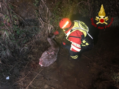 foto salvataggio