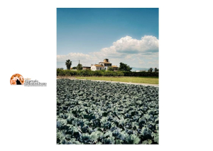 Abruzzo. 2 milioni per incentivare agriturismi, agricoltura sociale e fattorie didattiche