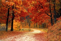 21 settembre, iniziano le ricorrenze d'autunno.