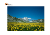 FAI. Le Camminate nella biodiversità in Abruzzo e Molise