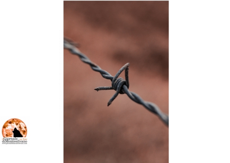 Covid19/Carcere Sulmona: sale la preoccupazione per i contagiati. Arrivano i rinforzi.