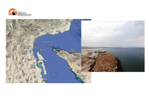 Gli Emirati Arabi Uniti e la sfida di Hormuz: la forza come ultima ratio per la stabilità globale