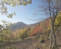 Abruzzo, escursioni al foliage sui Monti della Laga