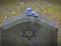 Giorno della memoria appuntamenti per le celebrazioni