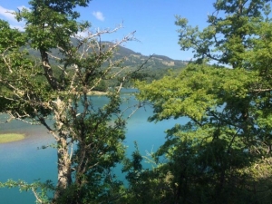 Sanniti cross ad Alfendena: 750 metri di nuoto, 12 km in mountain bike, 5 km di corsa.