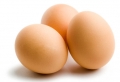 Uova contaminate al fipronil: scatta il ritiro del Ministero della salute.
