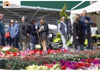 “Florviva 2022”, le novità: esemplari rari di orchidee e premio letterario di poesia