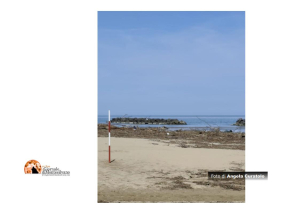 Montesilvano. Sindaco autorizza raccolta legno sulla spiaggia.