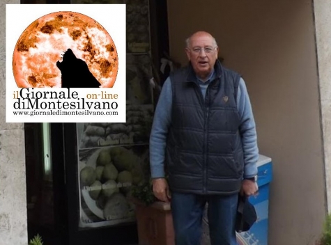 mario saldino