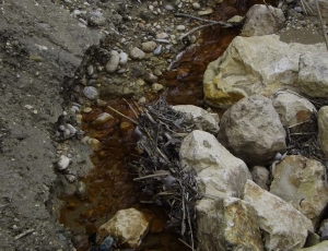 Scarichi nel Saline fotogradfati a Marzo