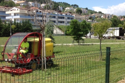 Montesilvano/Manutenzione del verde,ecco gli interventi