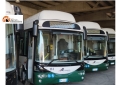 L'Aquila. Quattro nuovi autobus immessi su strada