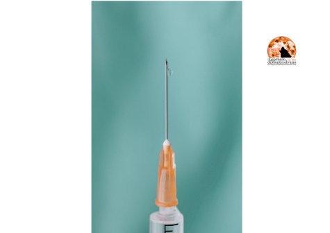 Vaccino USA efficace al 90% fa volare borse.