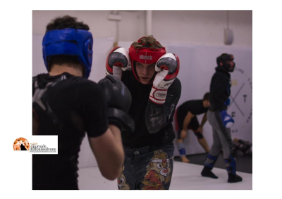 La situazione delle arti marziali miste MMA in Italia