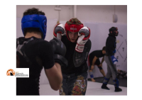 La situazione delle arti marziali miste MMA in Italia