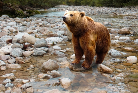 Abruzzo. 3 Parchi su 4 senza guida. WWF: "urgono nomine"