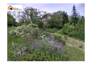 Loreto Aprutino, passeggiata e visita guidata al parco e al borgo.