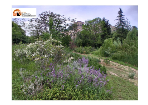 Loreto Aprutino, passeggiata e visita guidata al parco e al borgo.