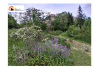 Loreto Aprutino, passeggiata e visita guidata al parco e al borgo.